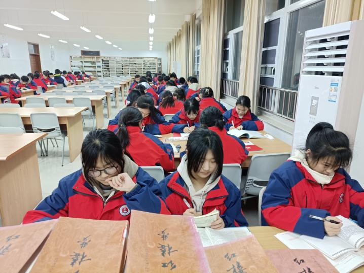 图片11
