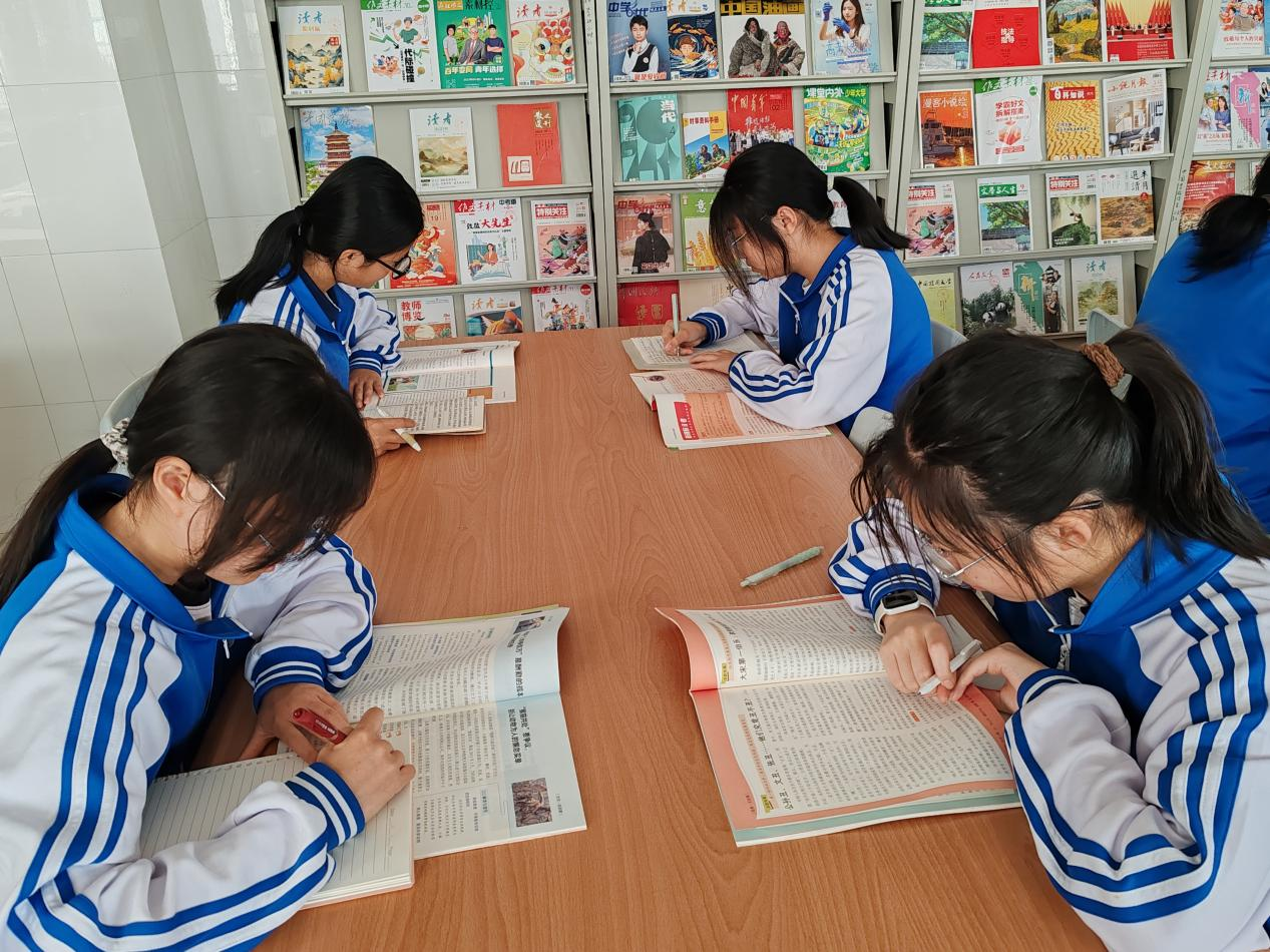 图片8