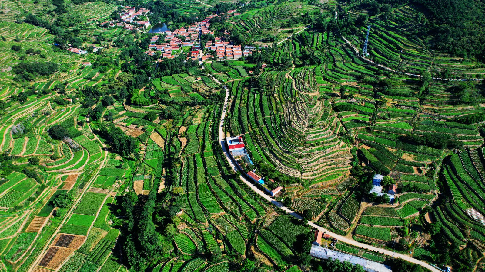 DJI_0674_副本_AI看图