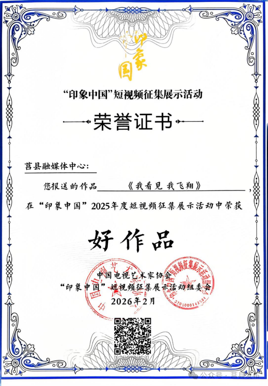 图片8