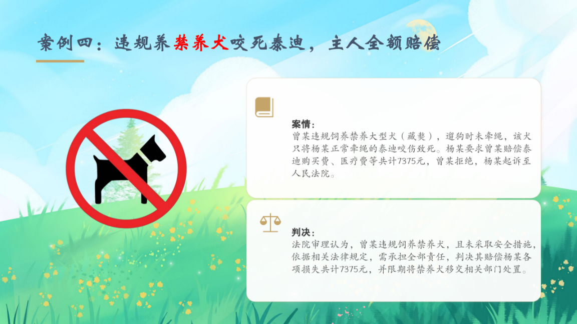 图片11