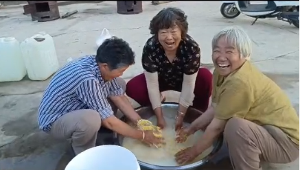徐雅村