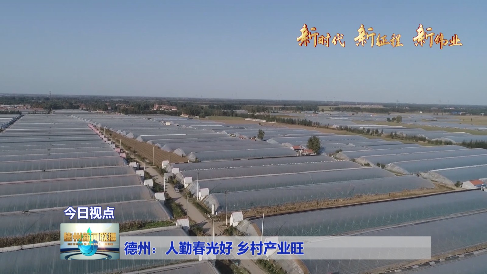 德州：人勤春光好