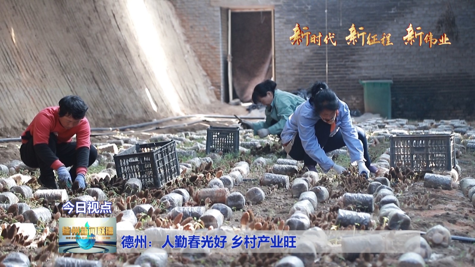 德州：人勤春光好