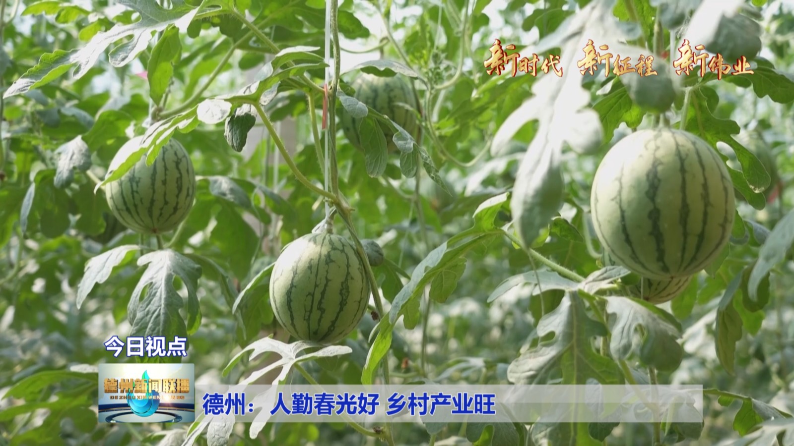 德州：人勤春光好