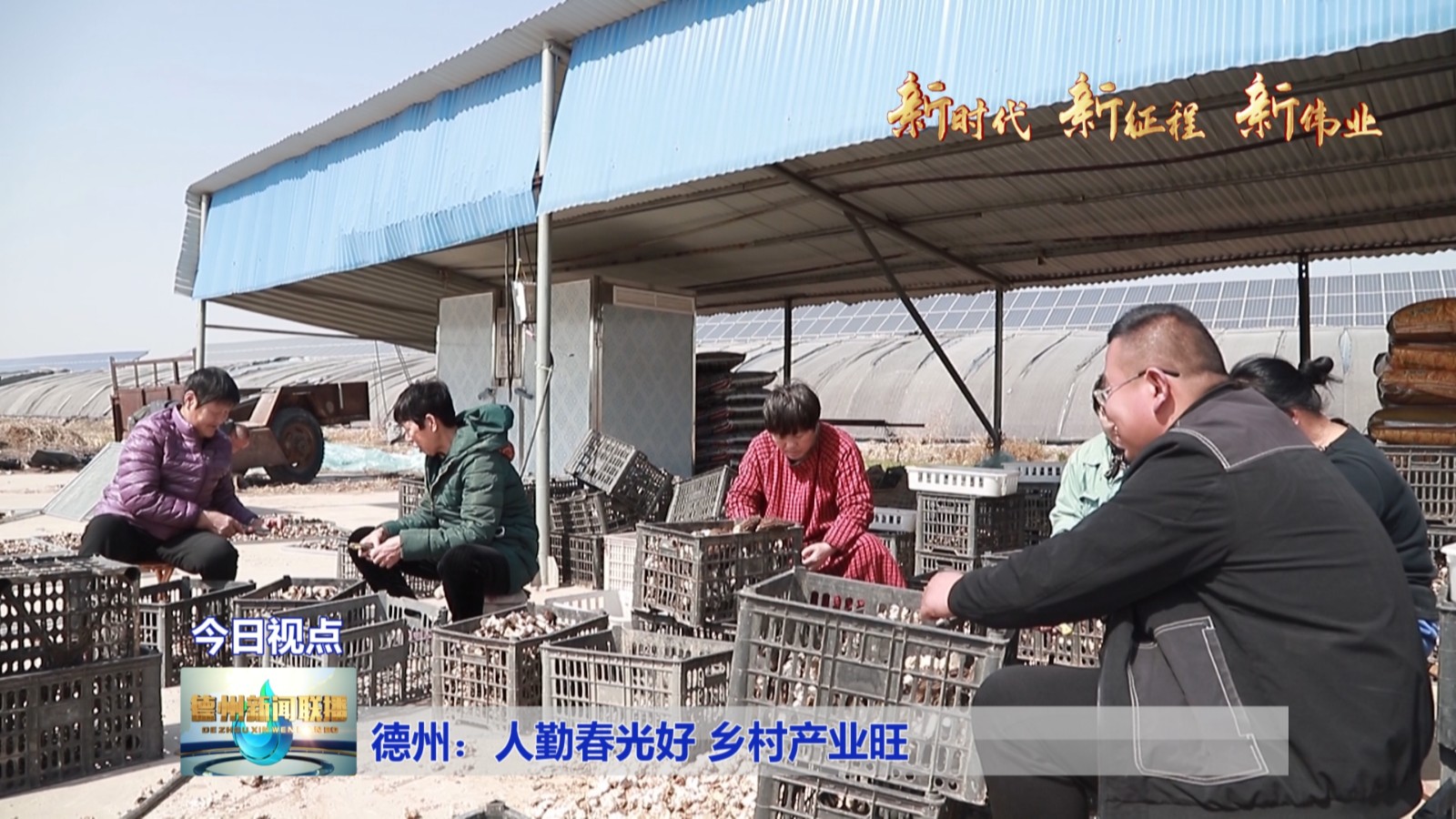 德州：人勤春光好