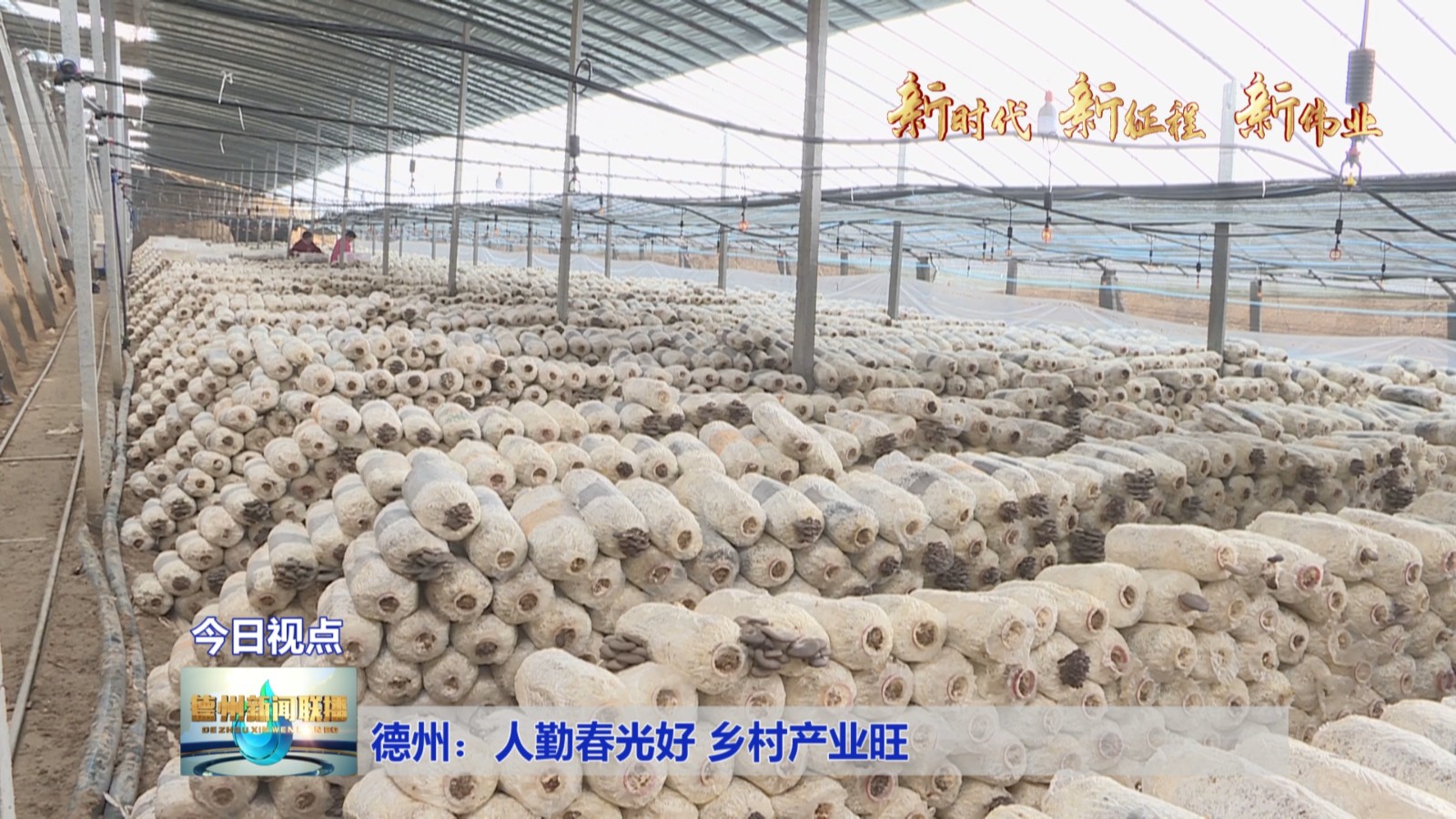 德州：人勤春光好