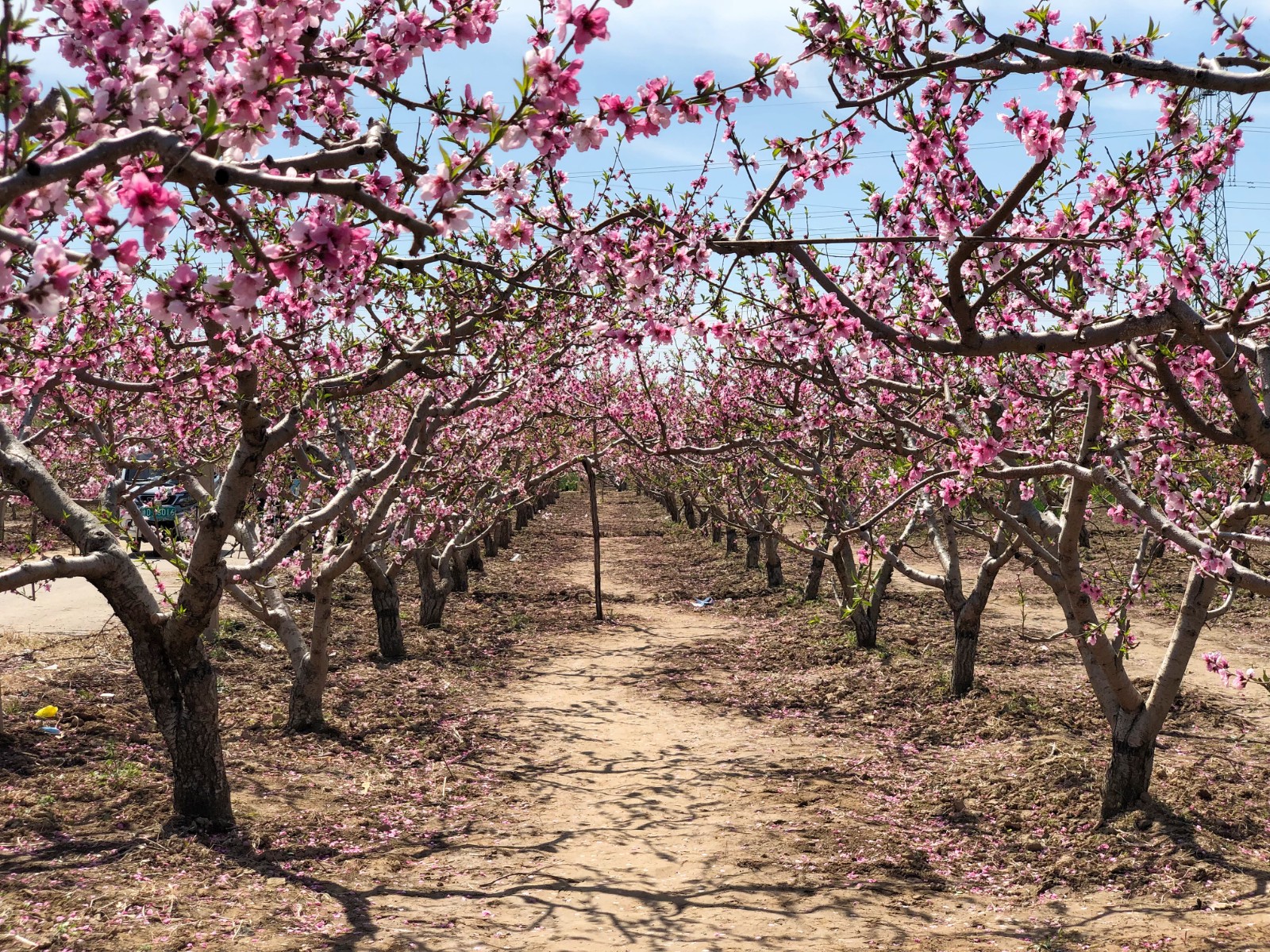 微信图片_20230408142239