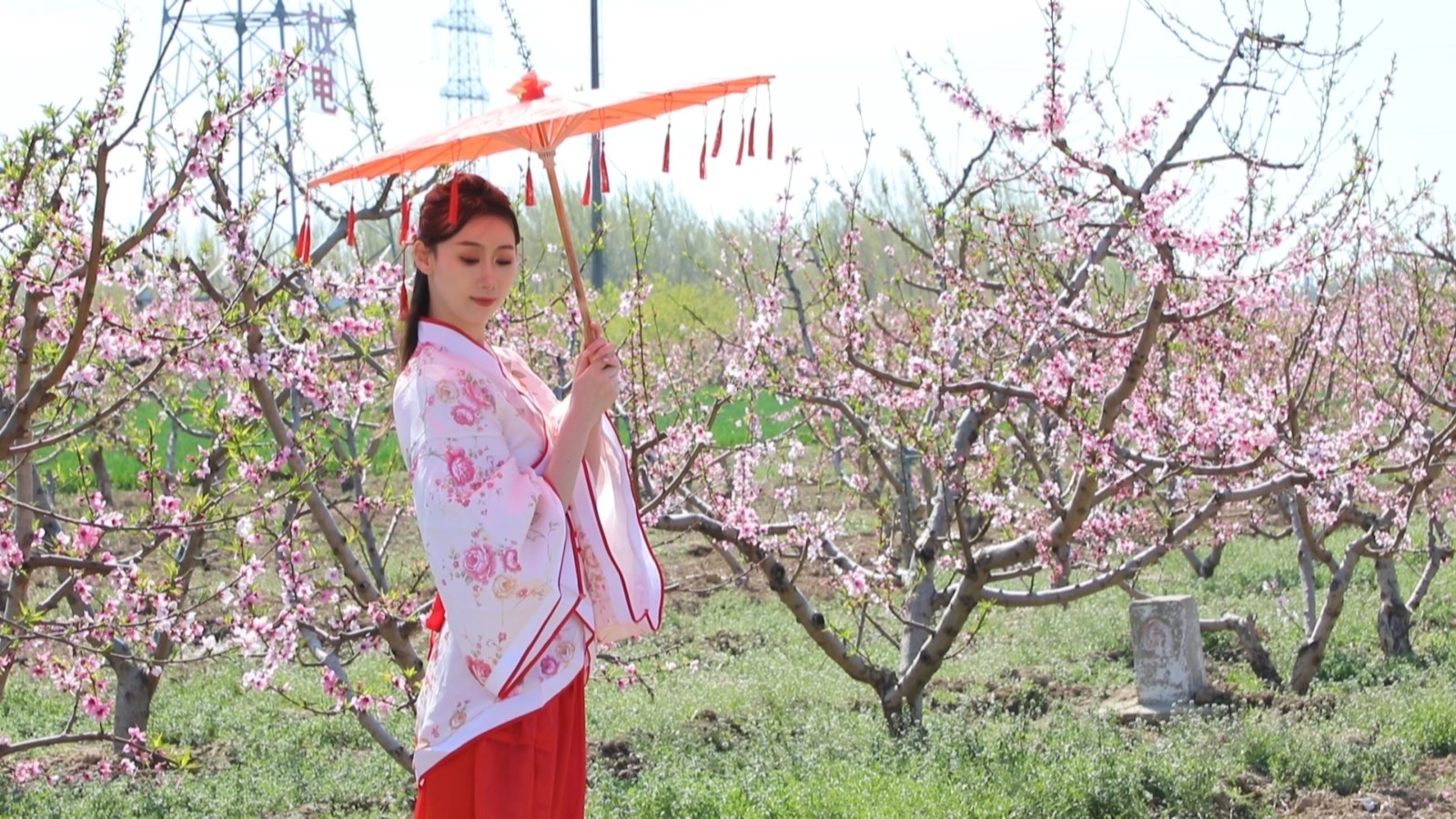 微信图片_20230408142236