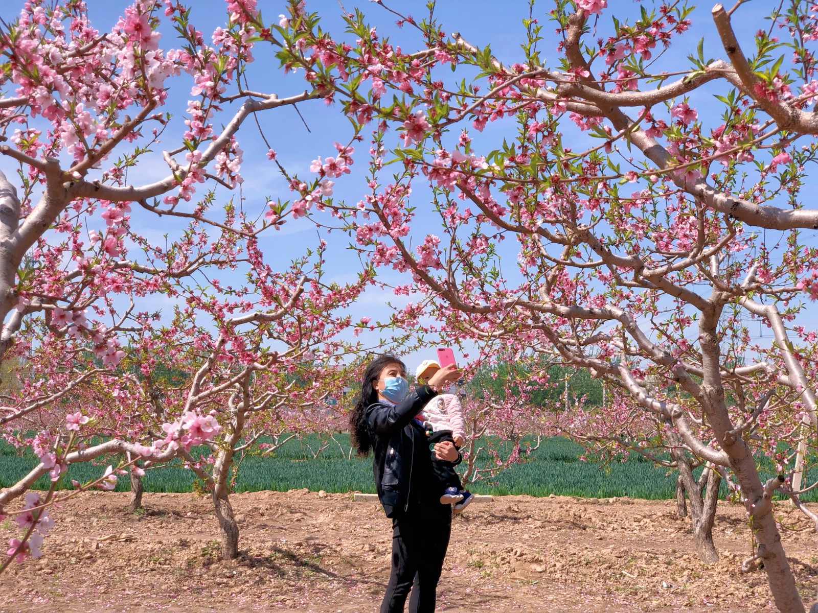 微信图片_20230408142243