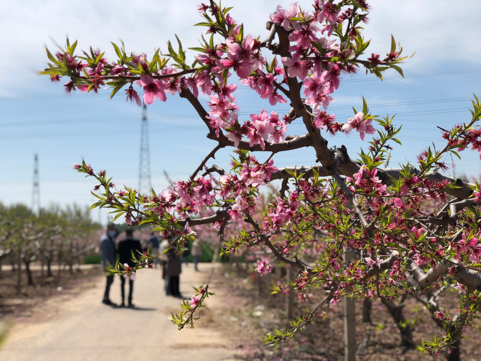 微信图片_20230408142247