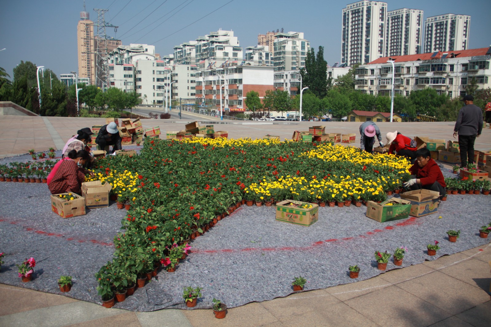 草花摆放造型图片