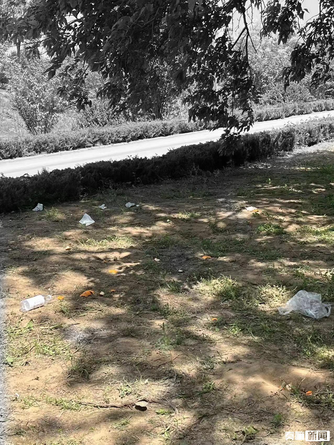 垃圾