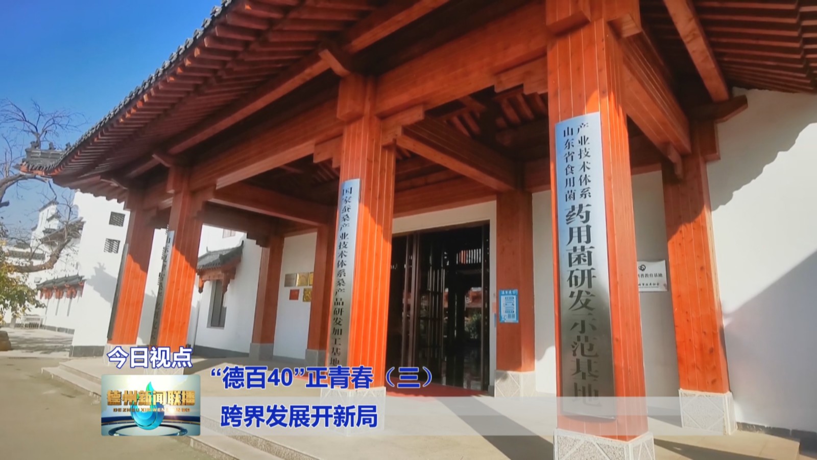 德百3