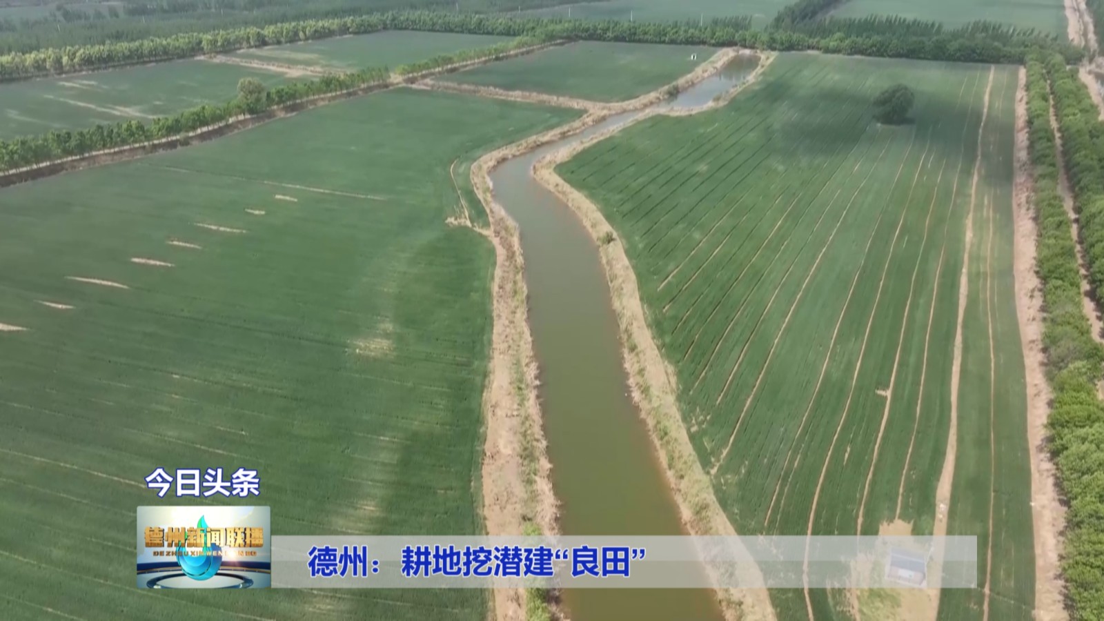 德州耕地1