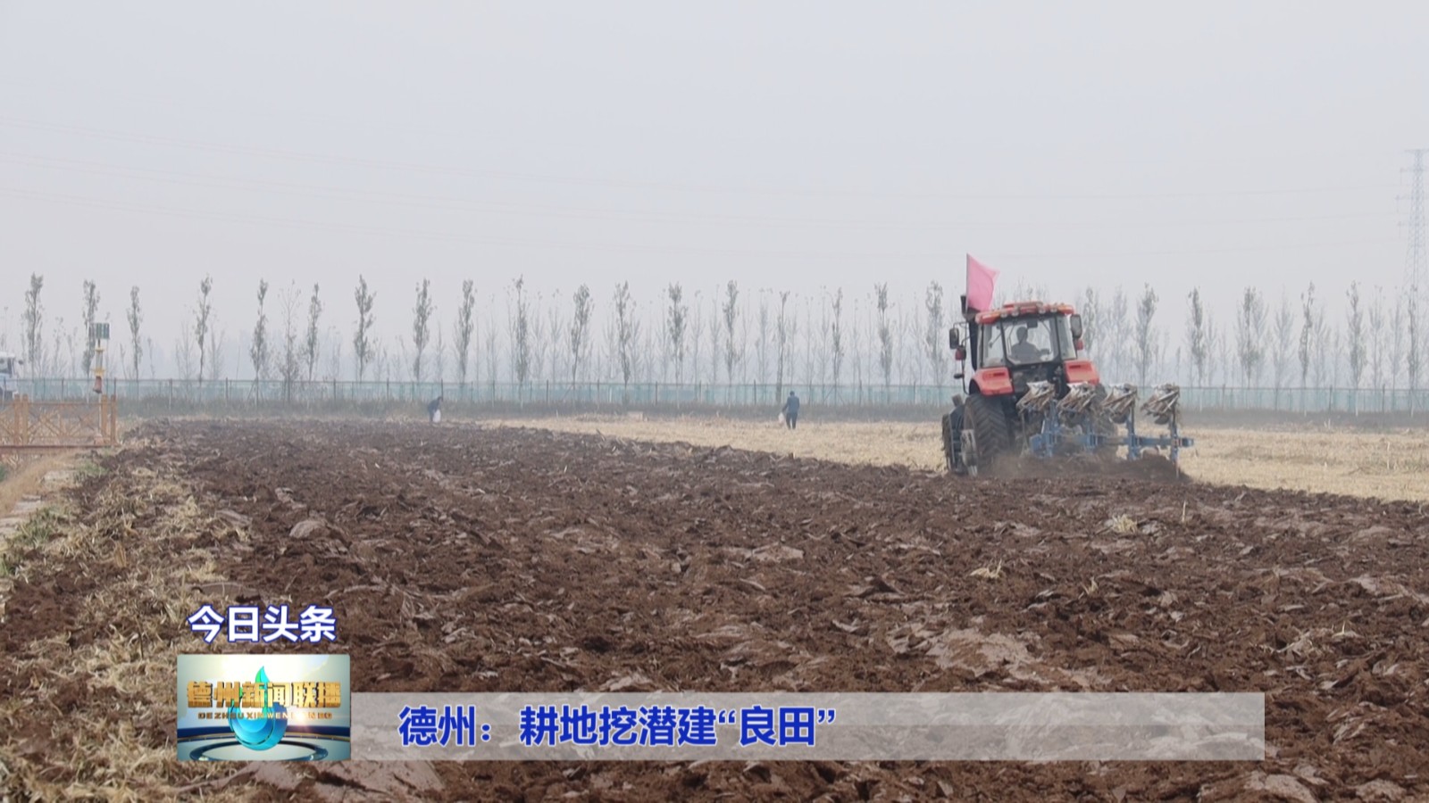 德州耕地2