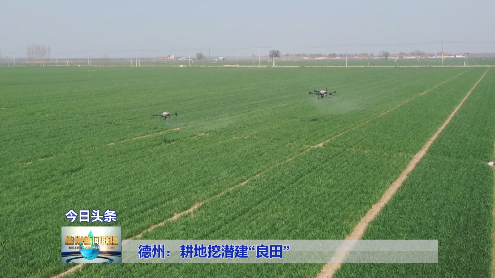 德州耕地3