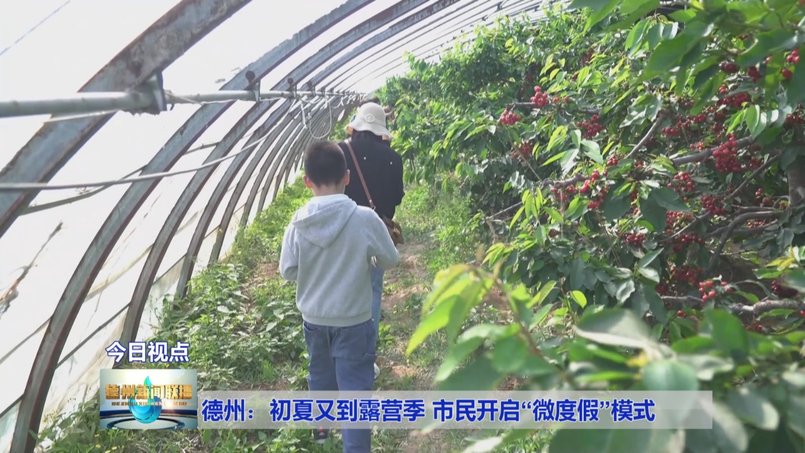 初夏露营5