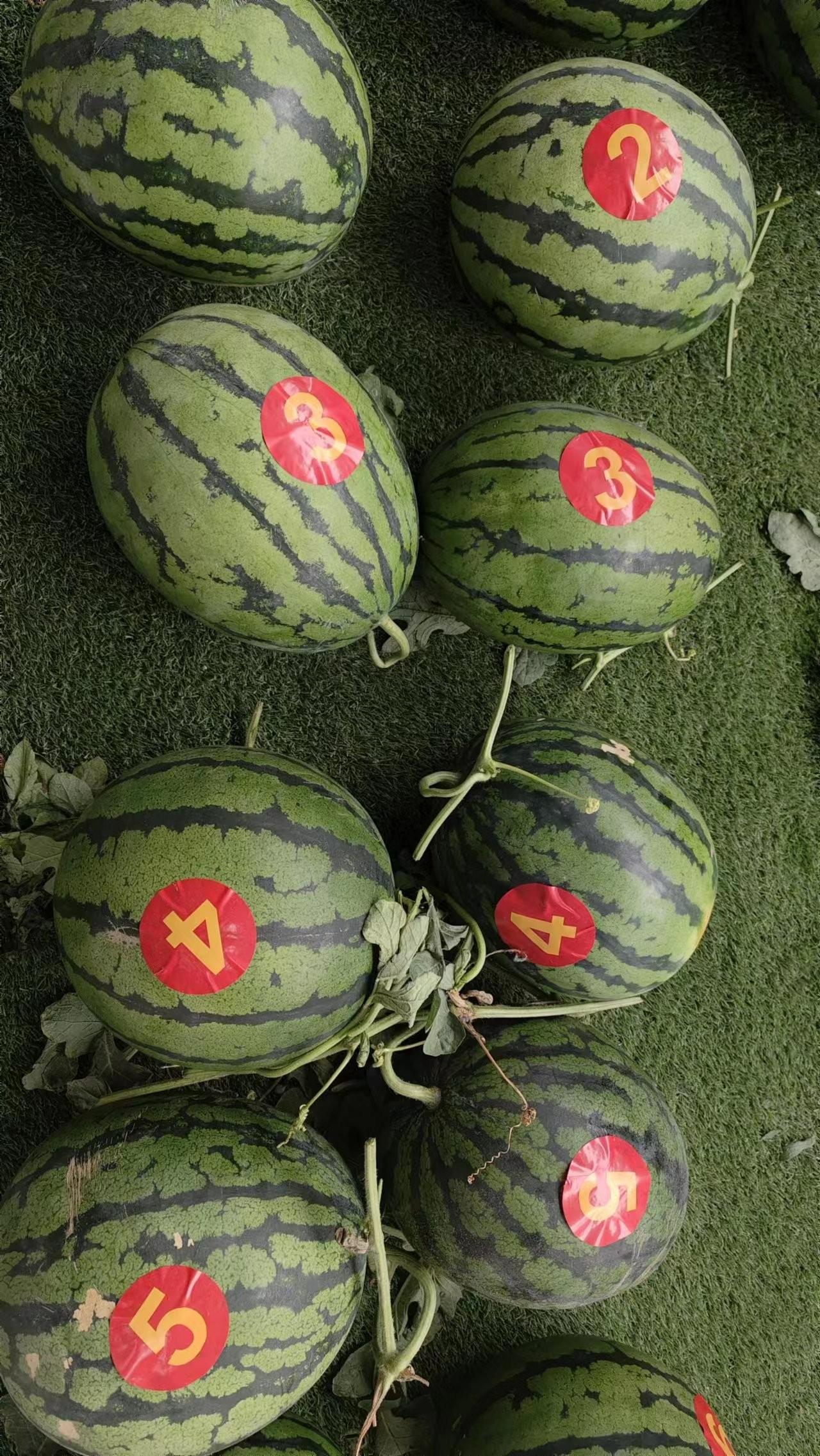 微信图片_20230520100559