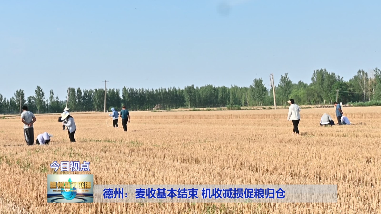 德州:麦收基本结束