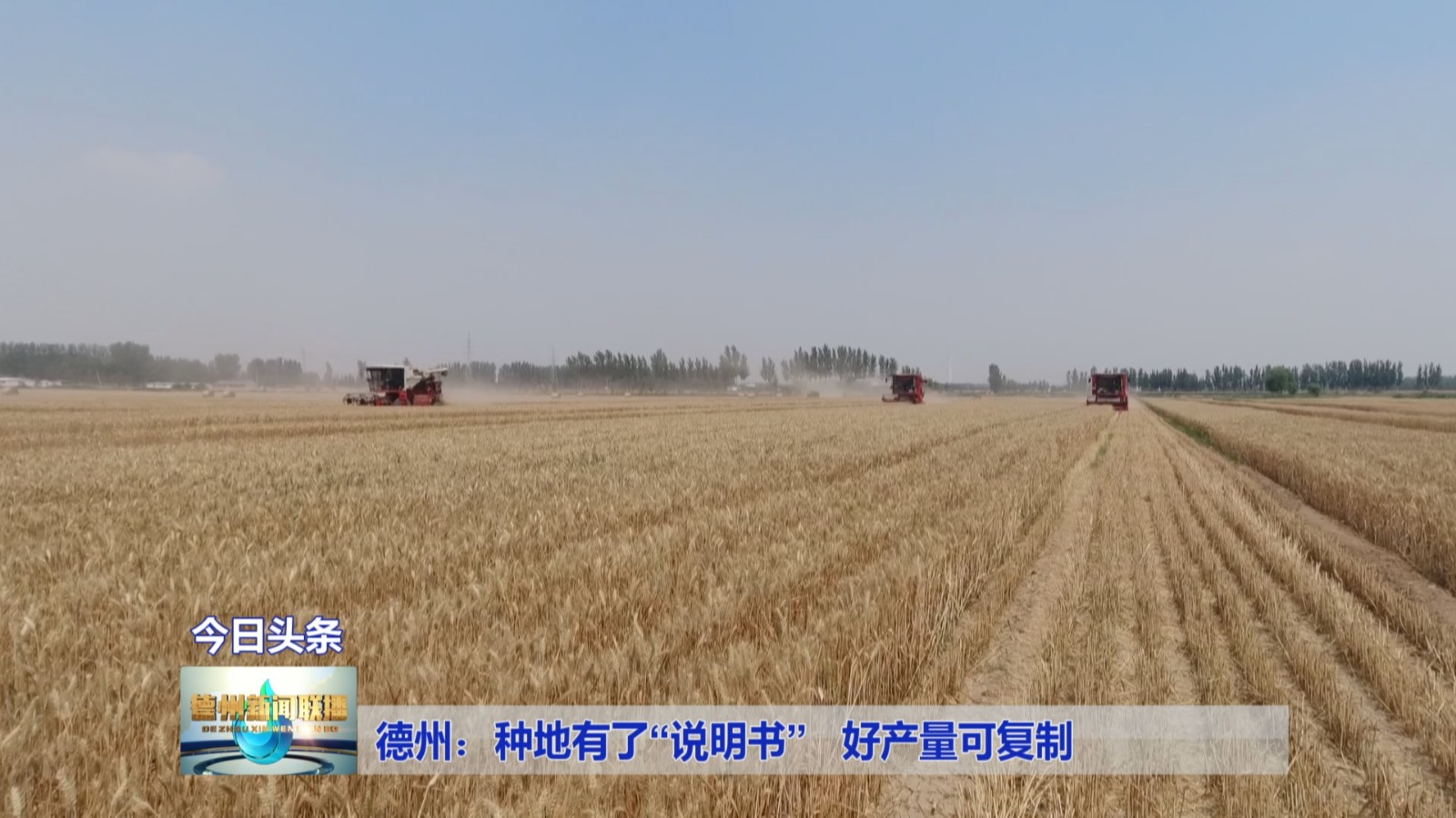 德州：种地有了“说明书”