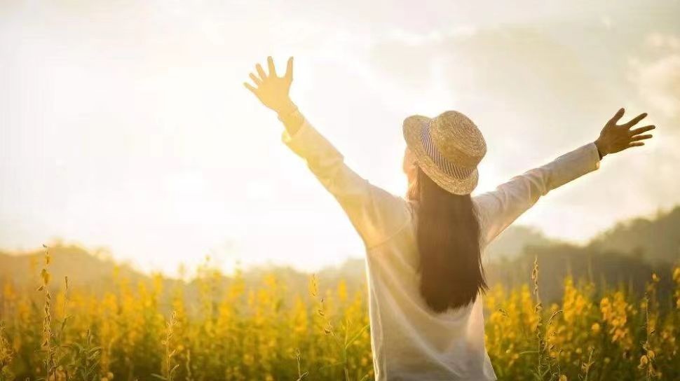 微信图片_20230717180312