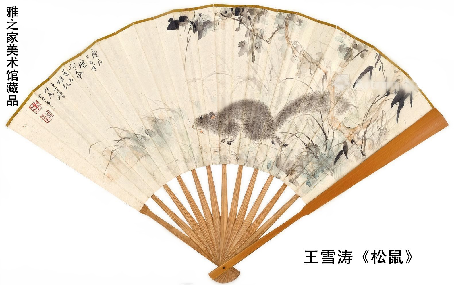 王雪涛-1