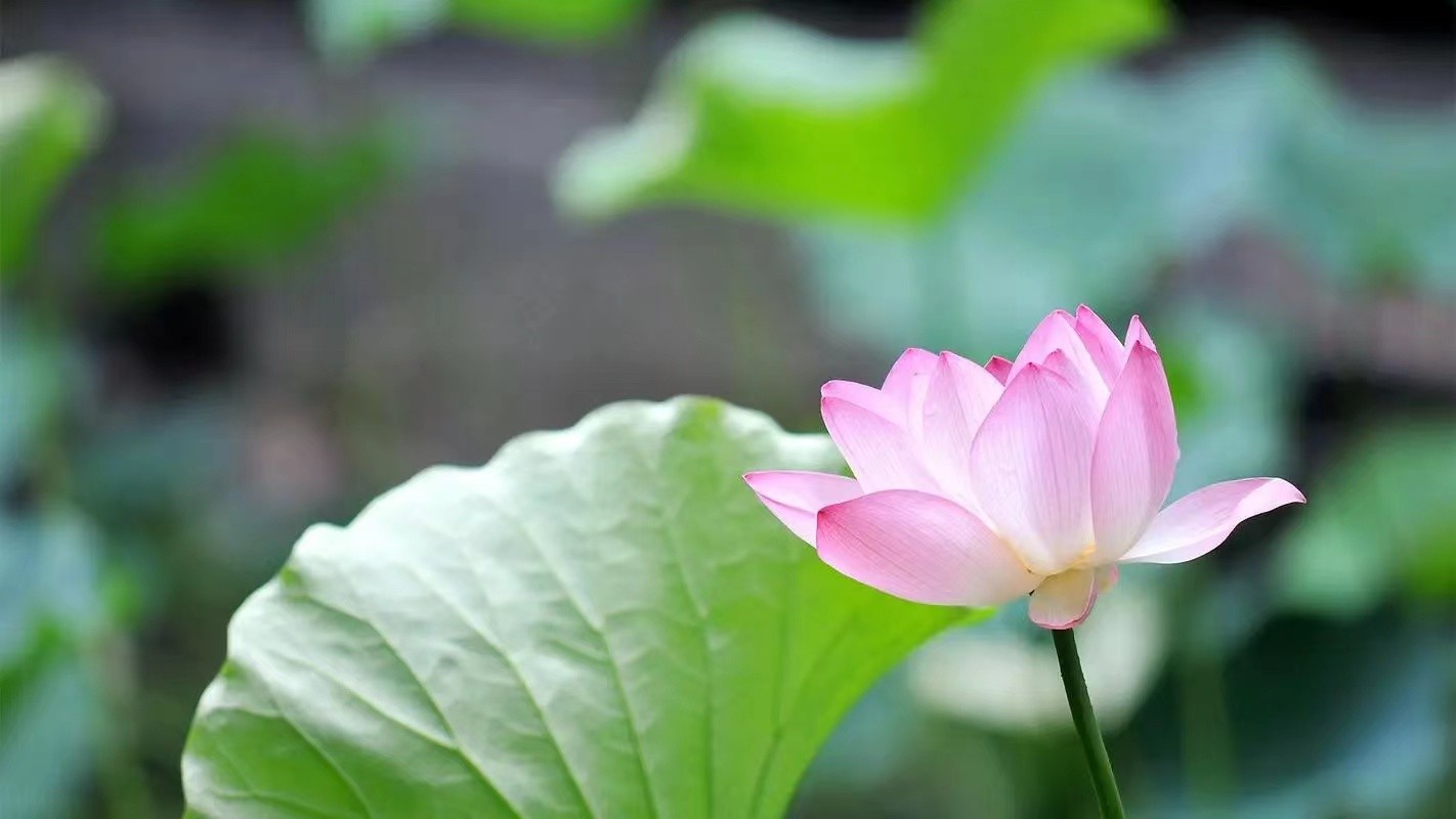 微信图片_20230805162920