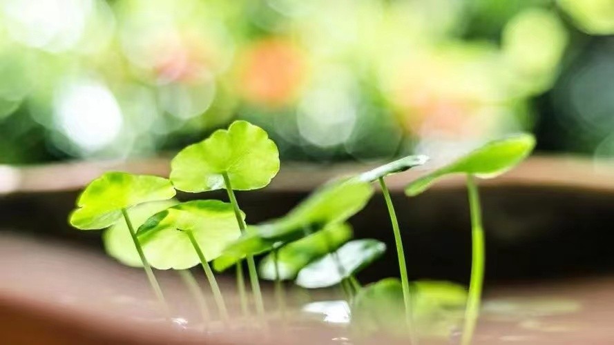 微信图片_20230805162915