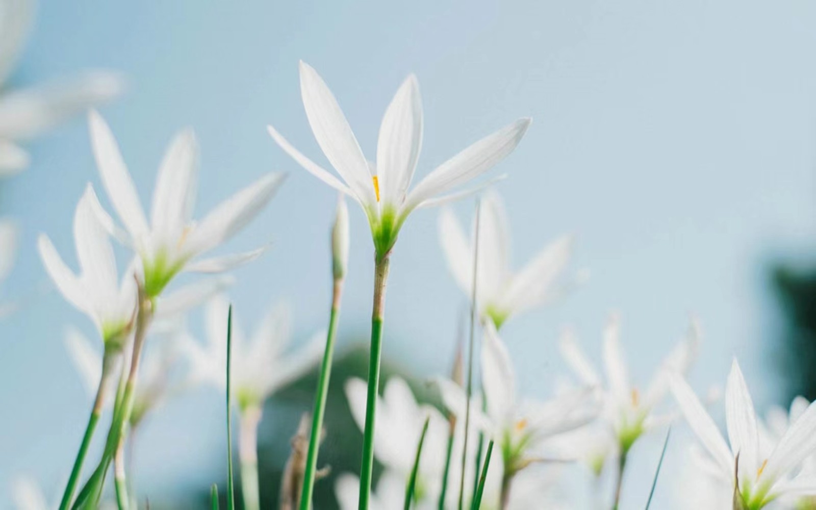 微信图片_20230805162926