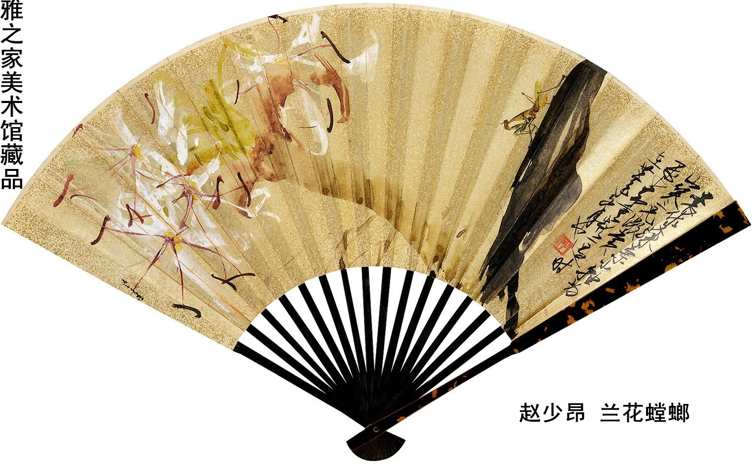 赵少昂