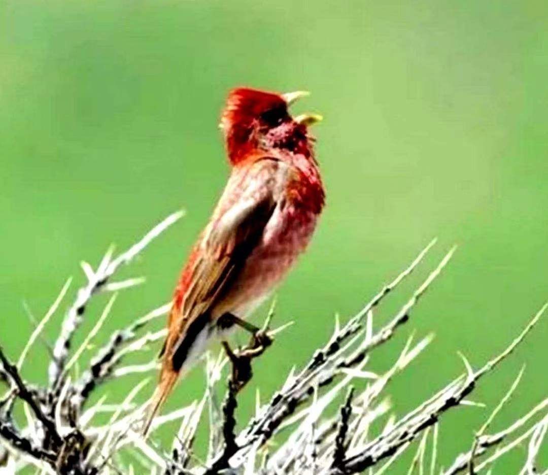 微信图片_20231010140514