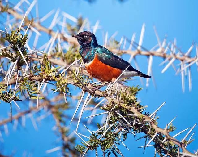 微信图片_202310101405152