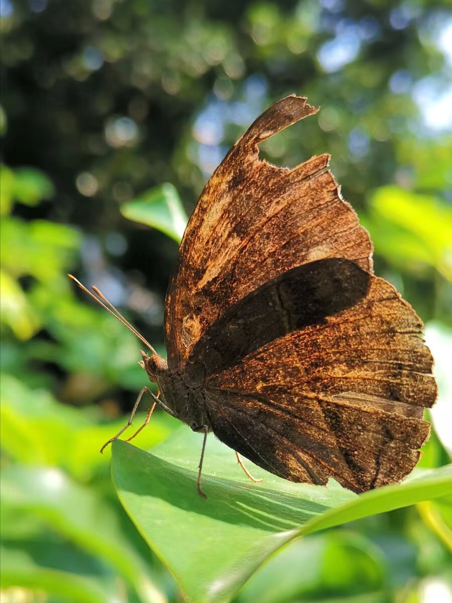 微信图片_20231010140515