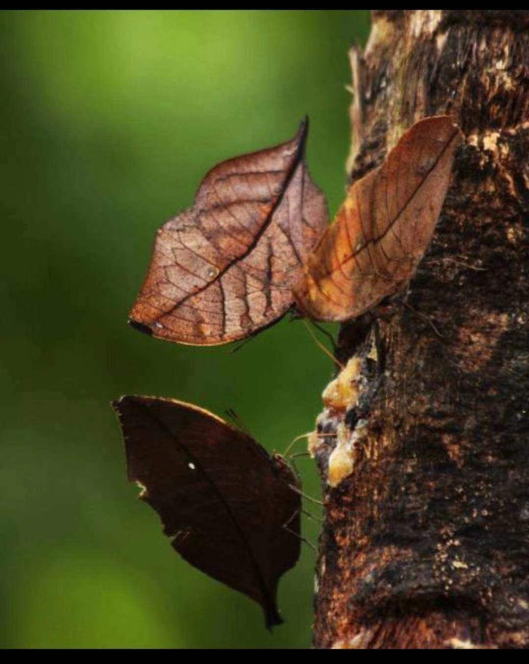 微信图片_202310101405151