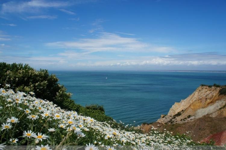 微信图片_20231127173452