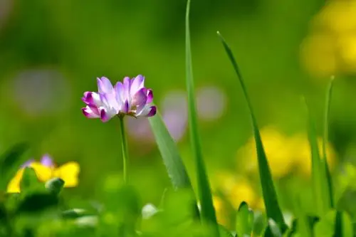 微信图片_20231219172801