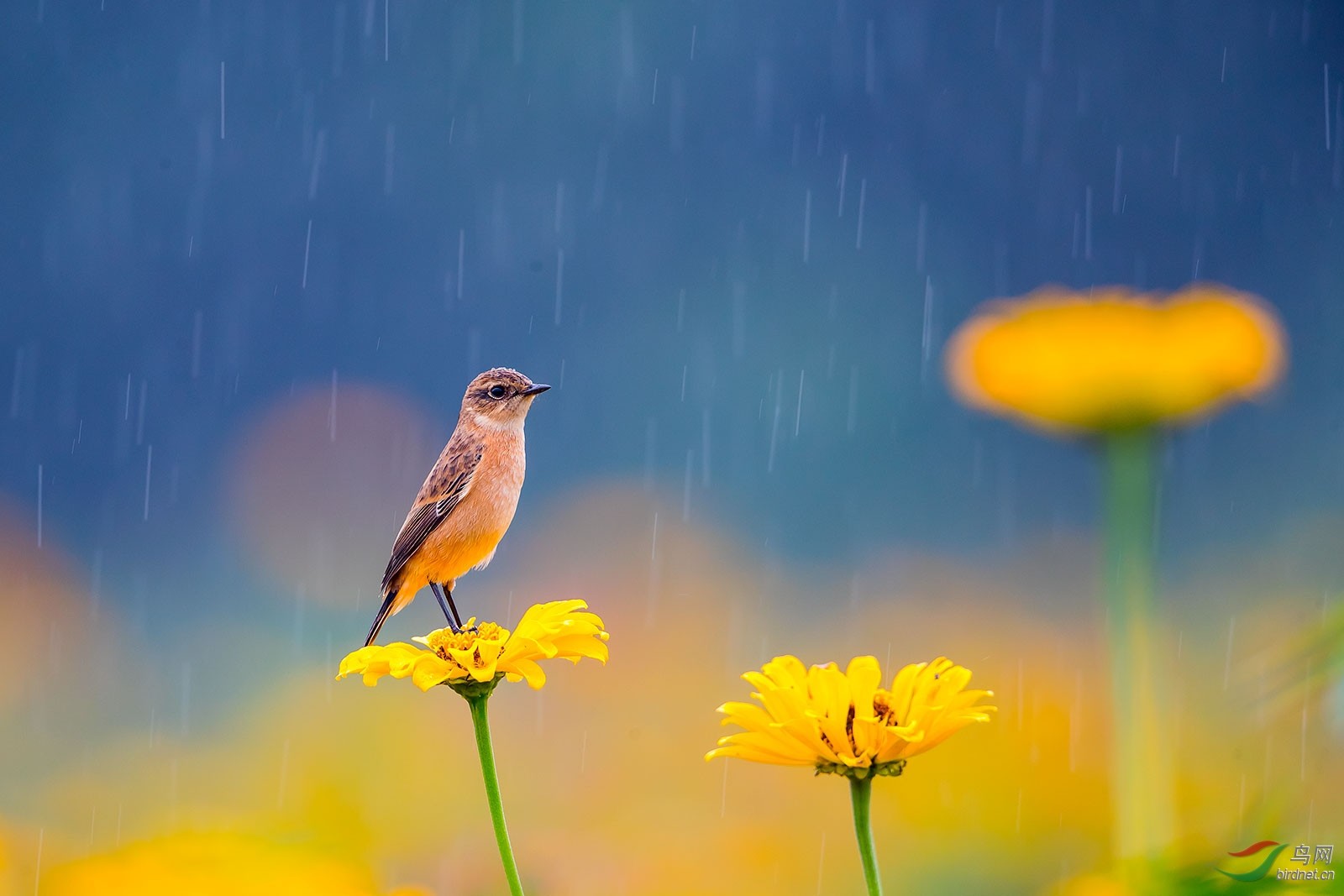 微信图片_20231219172758