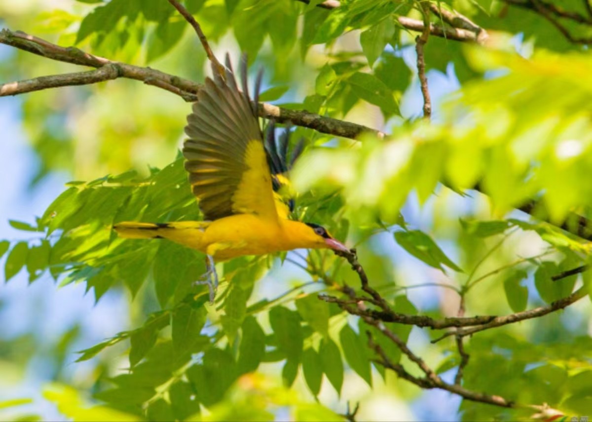 微信图片_20240524142825