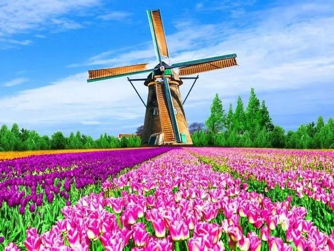 微信图片_20240912190258