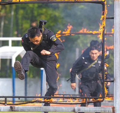 22ec56860baa44f9a37cc33e1045fa9b