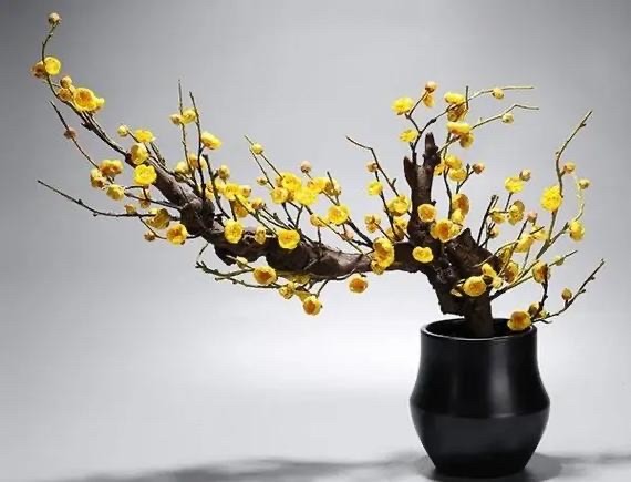 微信图片_20250126181725