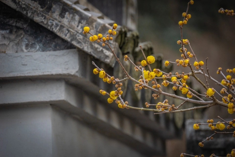 微信图片_20250126181728