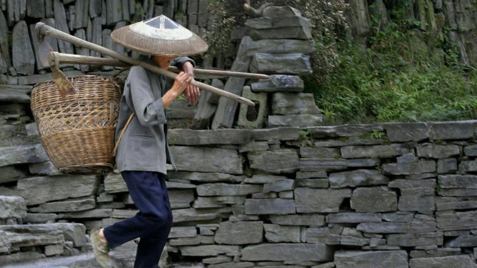 微信图片_20250217170841