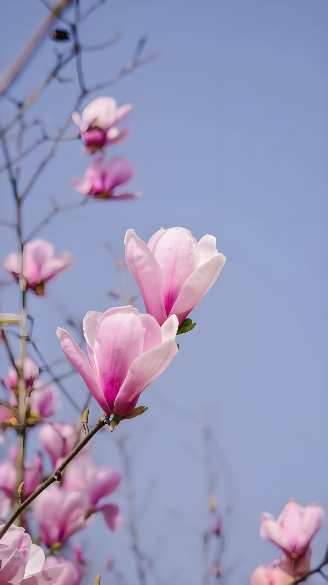 微信图片_20250326162105