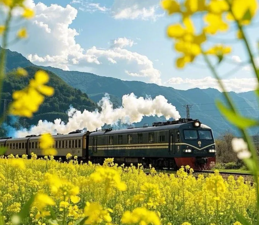 微信图片_20250408140236