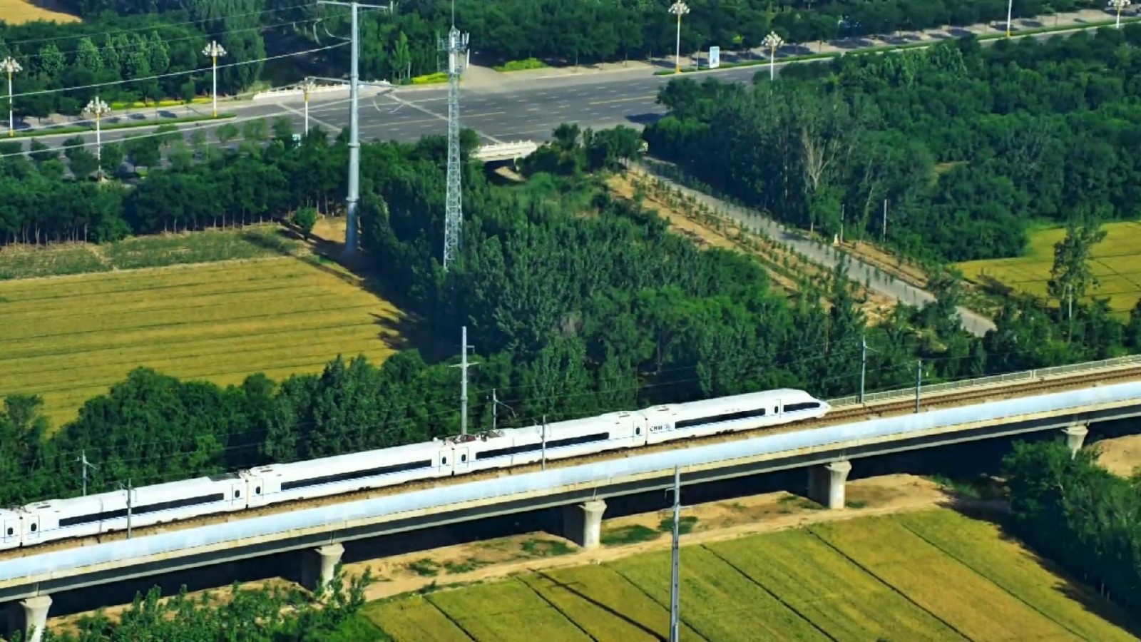 微信图片_20250413165153