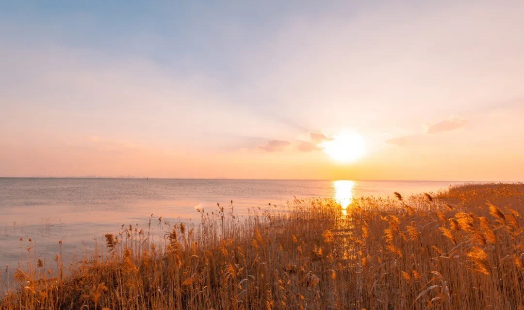 664560d3978509b43ec735d1fb67f242