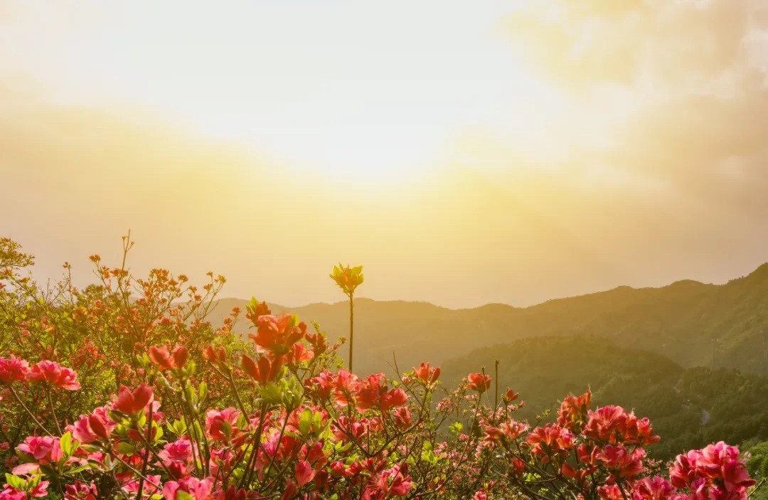 df07f025af4bdcf0cf770eef9f630510