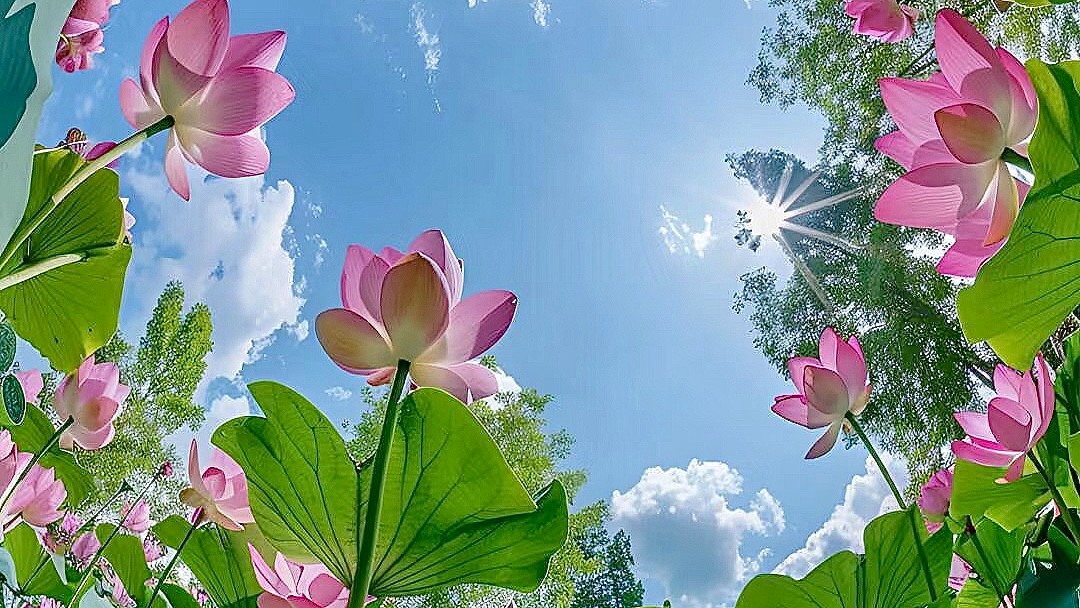 微信图片_2025-06-17_173746_521